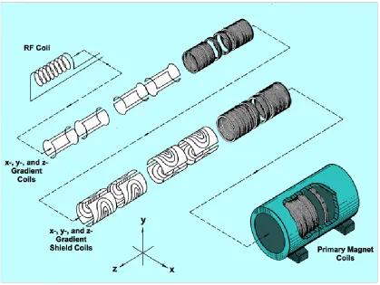 Figure 1.3-5: Positioning of RF coils, gradient coils, and actively shielded gradients in the 