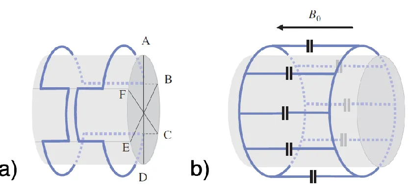 Figure 1.3-8: The saddle coil and birdcage coil designs of transmit/receive volume coils