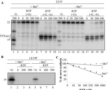 TABLE 3. Summary of the activities of the mutations tested with RNA LE19 in this studya