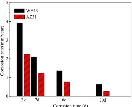 Figure 1. X-ray diffraction patterns of AZ31 alloy and WE43 alloy before corrosion  