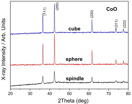 Figure 1.  XRD patterns of CoO powders with different morphologies. 