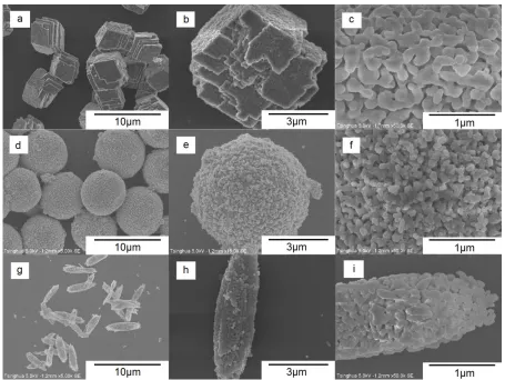 Figure 3.  (a) N2 adsorption isotherms of CoO powders with different morphologies; (b) BJH pore-size distributions of CoO powders with different morphologies