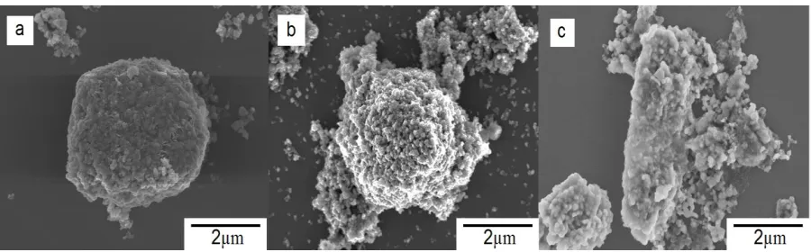Figure 7.  SEM images of CoO electrodes (mixtures of CoO/ATB/PVDF) with different morphologies after 50 cycles at 0.8 Ag-1