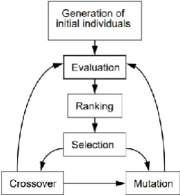 Figure 1. Structure of the principal genetic algorithm   