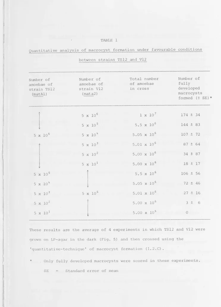 TABLE l Quantitative analysis of macrocyst formation under favourable conditions 