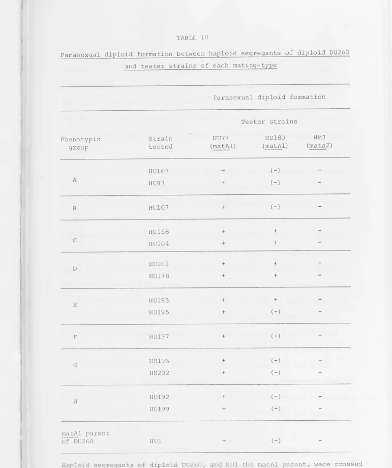 TABLE 10 Parasexual diploid formation between haploid segregants of diploid DU260 