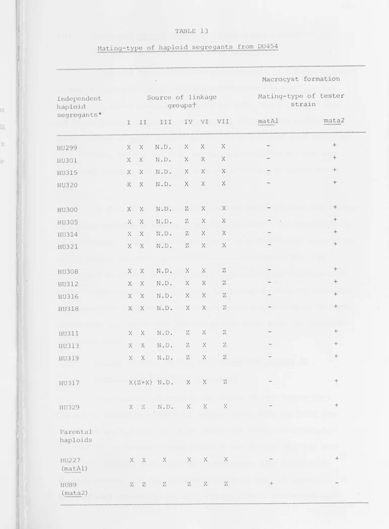 TABLE 13 M~ting-type of haploid segregants from DU454 
