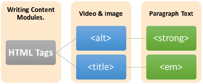 Fig. 2  Writing Content Modules main attribute 