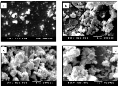 Figure 5.  SEM  micrograph  of  the surface of  SnO2  nanocrystals   at  different temperature  a) as prepared powder,  b) T=750 ºC,  c) T=900 ºC and  d)T=1050 ºC respectively