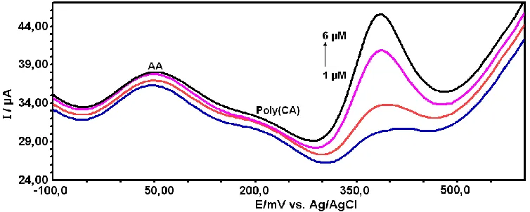 Figure 8.  SWVs of APAP and AA at the poly(CA)-modified electrode in 0.1 M PBS (pH 7.0)