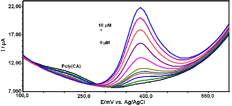 Figure 6.  SWV on poly(CA)-modified electrode for different APAP concentrations (without AA): 0.0, 0.2, 0.4, 0.6, 0.8, 1.0, 2.0, 4.0, 6.0, 8.0 and 10 µM in 0.1 M PBS