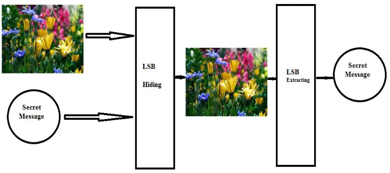 Figure (1): Data steganography process 
