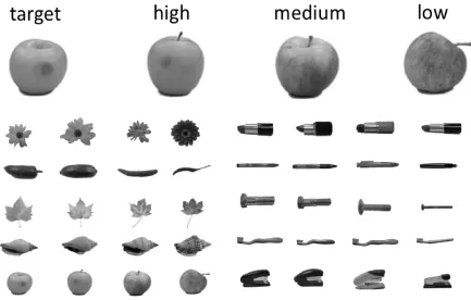 Figure 1. 40 stimuli from Migo Normative Database (Migo et al., 2016). The four object exemplars in each of the 10 categories were manipulated to be high-middle-low visual similarity compared with the an arbitrary target exemplar
