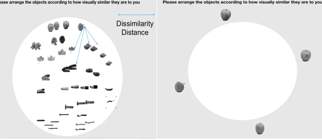 Figure 2. Inverse Multi-dimensional scaling task adapted from Kreigeskorte & Mur (2012)