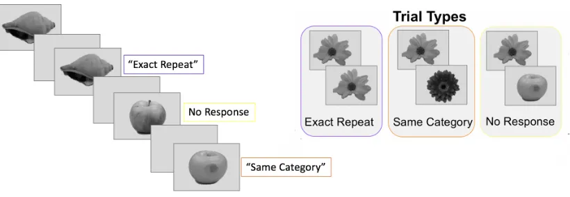 Figure 3. Variation of a 1-back task. Each image was presented for 1.2 seconds with 