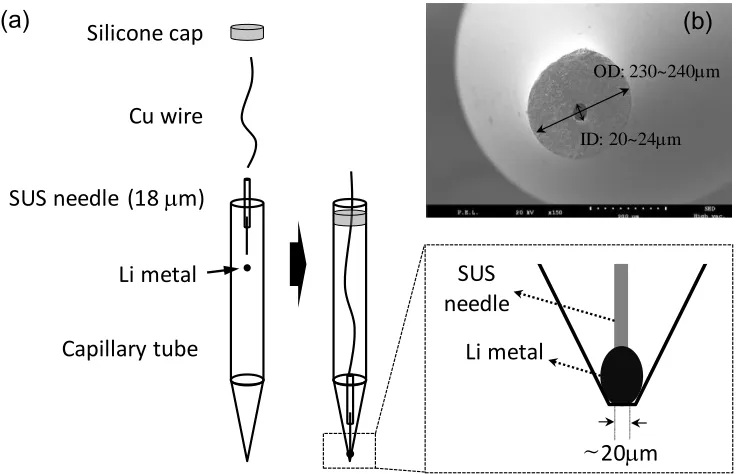 Figure 1.  Inner components (copper wire as a conducting line and Li metal) of the LMP (a) and SEM image of its tip section (b)  