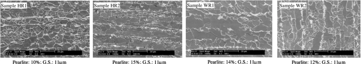 Figure 1 shows examples  of typical  optical  micrographs  taken from the studied samples