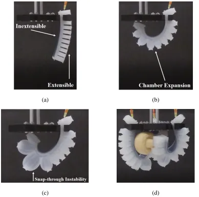 Figure 2.4 Pneumatic Network soft bending actuators. (a) Deflated state; (b) Inflated State; 