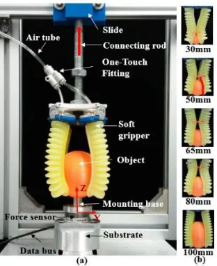 Figure 2.12 Universal PneuNet gripper testing tunable actuator lengths (Hao et al. [58], © 