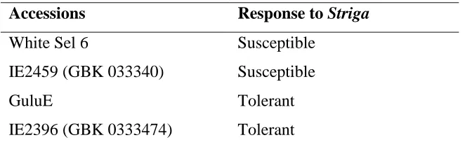 Table 3.1: Finger millet accessions  