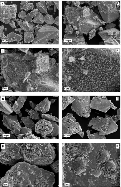 Figure 1.  SEM images of: (a) LaMmNi3.55Al0.30Mn0.40Co0.75 (AU) after reduction H2, (b-d) after deposition of nano-carbon by acetylene (AU-CVD), (e) AU-PANI-C, (f) AU-PPy-C and (g-h) composites with polyfurfuryl alcohol after carbonization (AU-AF-C)