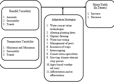 Figure 2.1: A Conceptual Framework of the Effects of Climate Variability on   