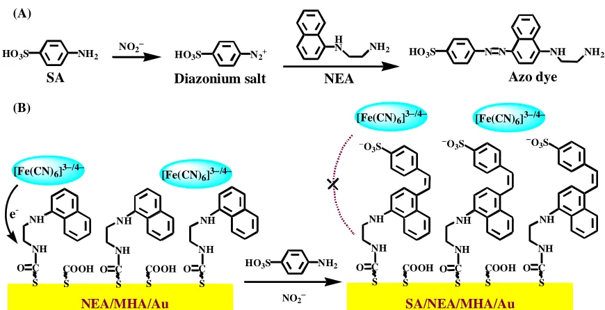 Figure 1.  (A) Griess reaction and (B) scheme representation showing the strategy for nitrite detection based on the charge variation on gold electrode