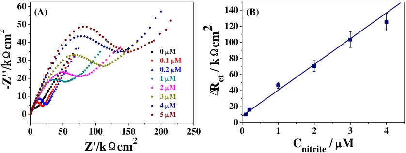 Figure 3. (A)  EIS of the NEA/MHA/Au electrodes after incubation with SA and different concentrations of nitrite