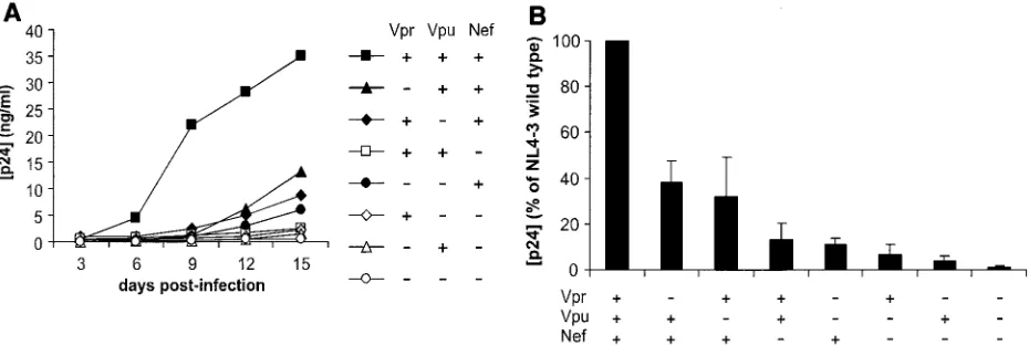 FIG. 1. Replication of HIV-1 variants in human lymphoid tissue ex vivo. For each of the indicated HIV-1 variants, 27 tissue blocks wereinoculated with 100 ng of p24 and medium was collected every 3 days