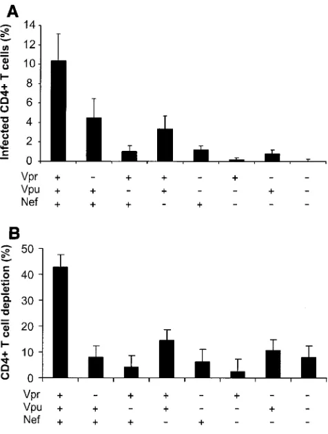 FIG. 2. CD4�-T-cell depletion in human lymphoid tissue infectedex vivo with HIV-1 variants