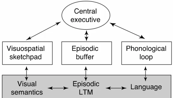 Figure 3.  Modification of the multicomponent model to include a fourth  component, the episodic buffer (Baddeley, 2000).