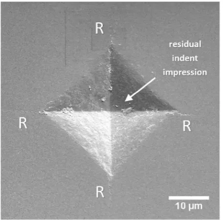 Fig. 1. Silicon nitride microstructures consisting of alpha and beta Si3N4(darker contrast) with glassy intergranular phase (lighter contrast)