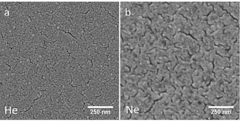 Fig. 5. Ne-ISE imaging of a radial crack extending from a 1 kg indentation ongold-coated SN-1 silicon nitride