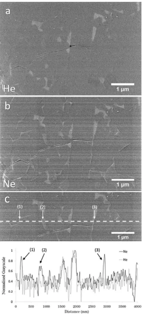 Fig. 7. A section of a radial crack extending from a 0.5 kg indentation in carboncoated SN-2 silicon nitride
