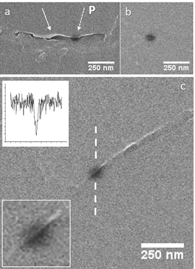Fig. 9. He-ISE images of charging hotspots on carbon coated SN-2. (a) Silicon nitride crack (block arrow) with ~100 nm zone, P, of local charging (dashed arrow) (b)~100 nm diameter ISE depletion zone of a charging hotspot
