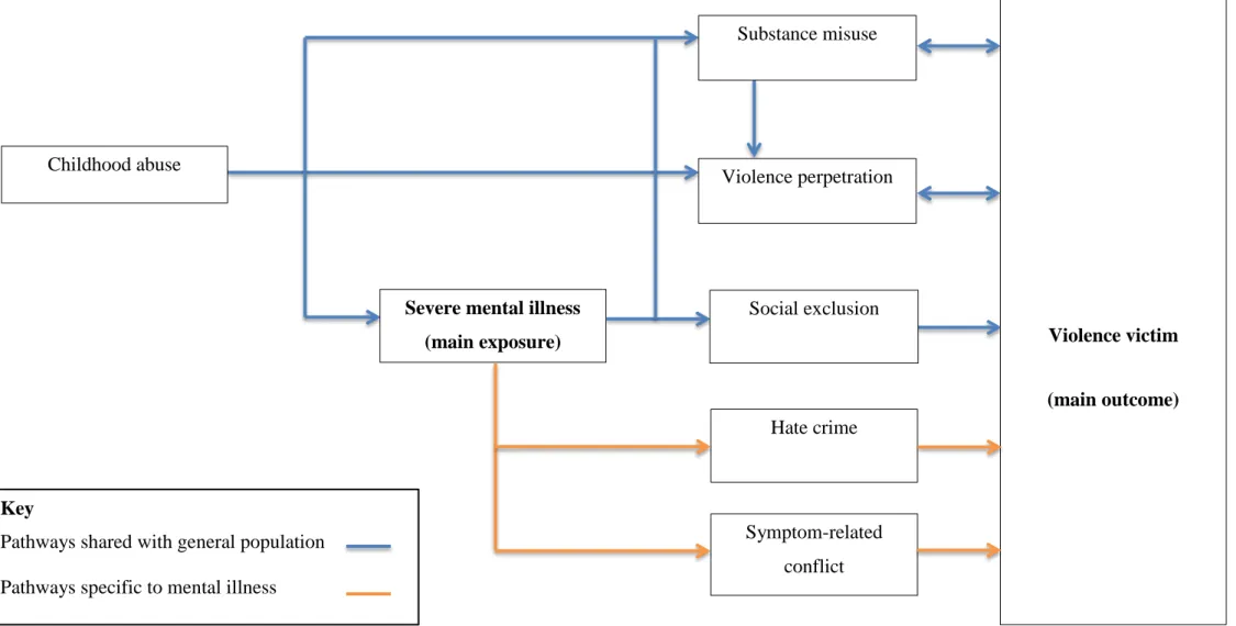 Figure 1-5 Causal pathways for victimisation among people with SMI