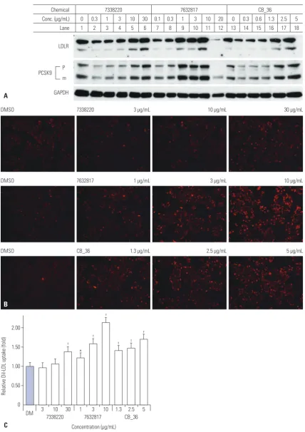 Fig. 2. Effects of CB_36 and its analogs in HepG2 cells. (A) At 18 h after treatment of CB_36, amounts of LDLR and PCSK9 were determined by immunob-lot analysis