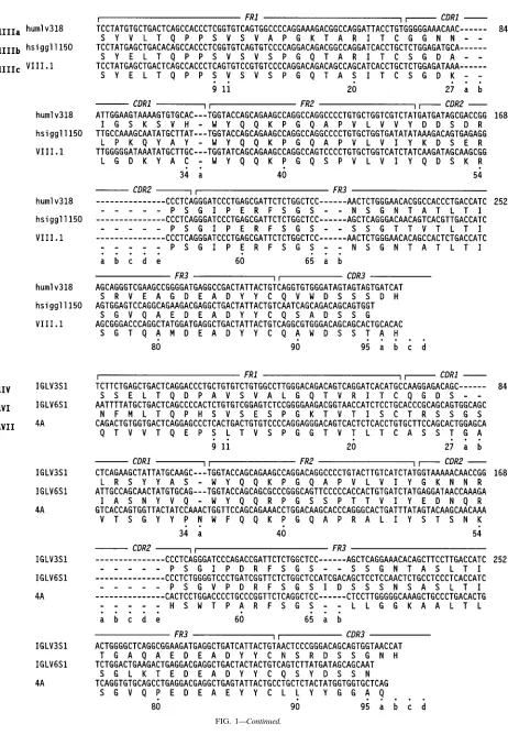 FIG. 1—Continued.