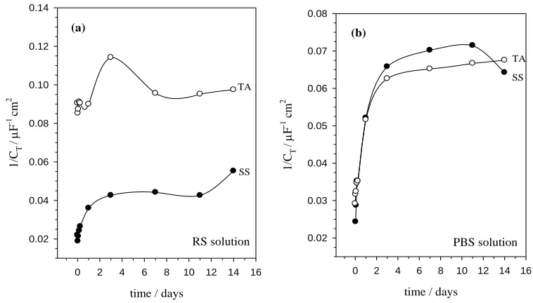 Figure 6.  The relative film thickness (1/CT) for both SS and TA samples in (a) RS solution and (b) PBS solution as a function of time in days
