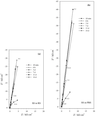Figure 3(a,b).  The Nyquist plots for 316L stainless steel (SS) as a function of time in Ringer saline (RS) and phosphate buffer saline (PBS) solutions, respectively