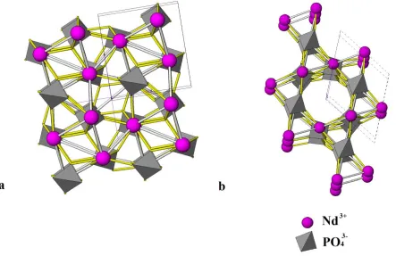 Figure 1 shows the structure for neodymium phosphates as calculated from the XRD data