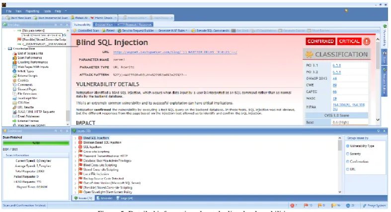 Figure 5. Detailed information about the listed vulnerabilities  