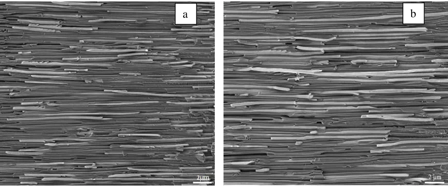 Figure 4.  current density variation versus time during the electrodeposition of Cu nanowires  