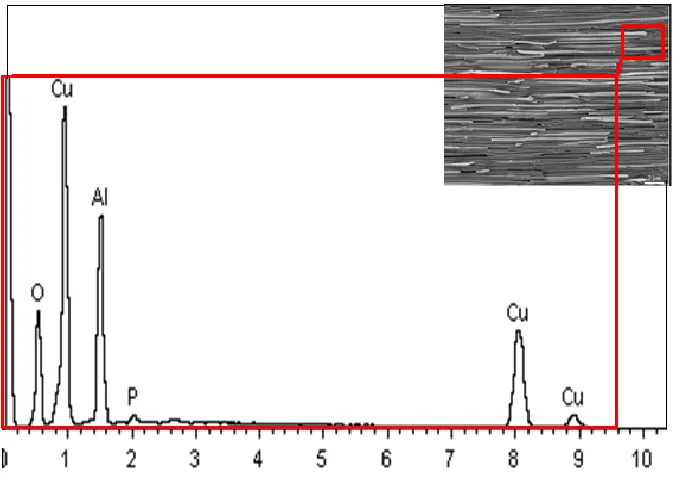 Figure 6.  EDX shows the presence of Cu 