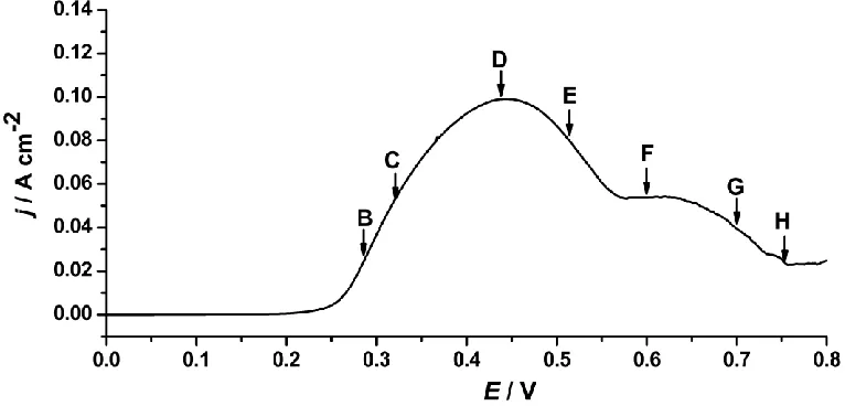 Figure 1. Polarization curve of the copper electrode in 0.5 mol dm-3 NaF solution at 10 mV s-1