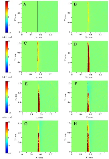 Figure 2. Phase distributions at different potentials during the anodic dissolution of copper; the labels B-H corresponding to B-H shown in Fig