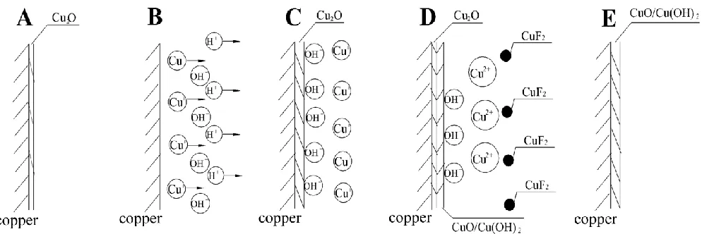 Figure 5.  Scheme of the anodic dissolution processes of copper in 0.5 mol dm-3 NaF solution