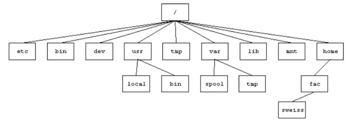 Figure 1.4: The top of a typical UNIX directory hierarchy.