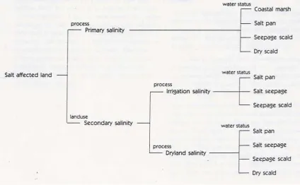 Figure 2.2. Classification of scalds based on causes, site morphology and water status; from Williams and Bullock (1989)
