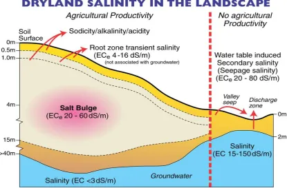Figure 2.4. The Transient Salinity model as depicted by Rengasamy (2002) and Fitzpatrick  et al.(2003), and used as a basis by Bann and Field (2006a) to describe the Surface Water Model (SWM) for salinity and the Non-groundwater Associated Salinity Model (